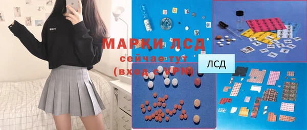 PSILOCYBIN Михайлов