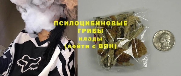 PSILOCYBIN Михайлов