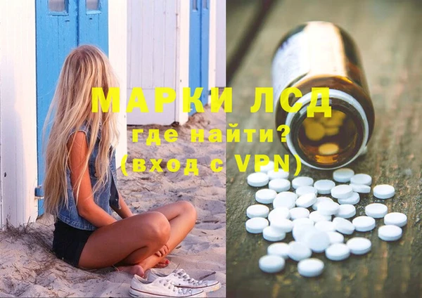PSILOCYBIN Михайлов