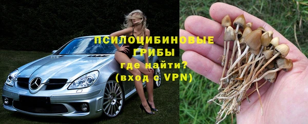 первитин Бикин
