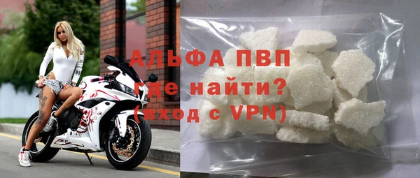 PSILOCYBIN Михайлов
