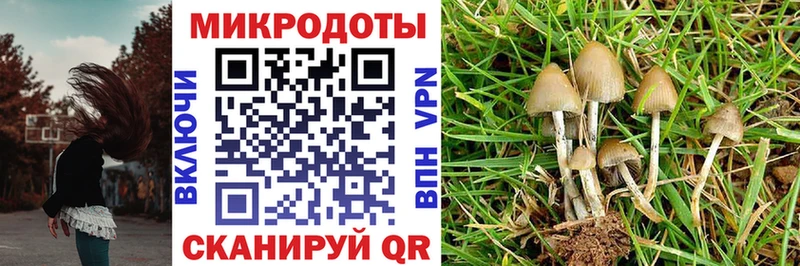 Галлюциногенные грибы ЛСД  мориарти клад  Оханск  сколько стоит  мега ССЫЛКА 
